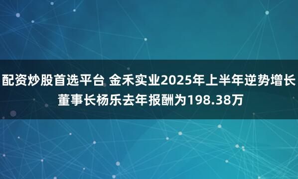 配资炒股首选平台 金禾实业2025年上半年逆势增长 董事长杨乐去年报酬为198.38万