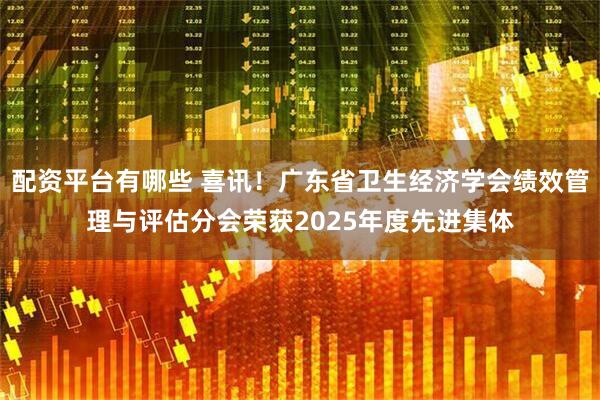 配资平台有哪些 喜讯!广东省卫生经济学会绩效管理与评估分会荣获2025年度先进集体